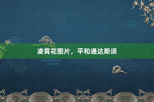 凌霄花图片，平和通达斯须