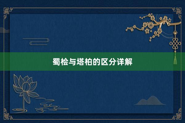 蜀桧与塔柏的区分详解