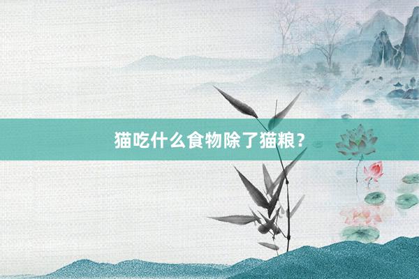 猫吃什么食物除了猫粮？