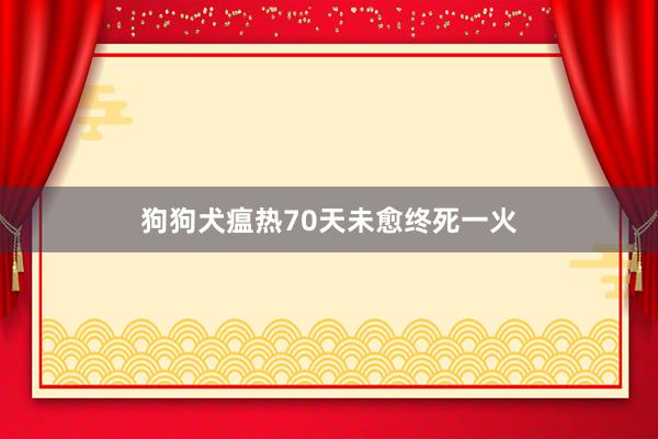 狗狗犬瘟热70天未愈终死一火