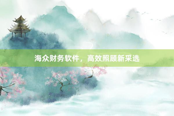 海众财务软件，高效照顾新采选